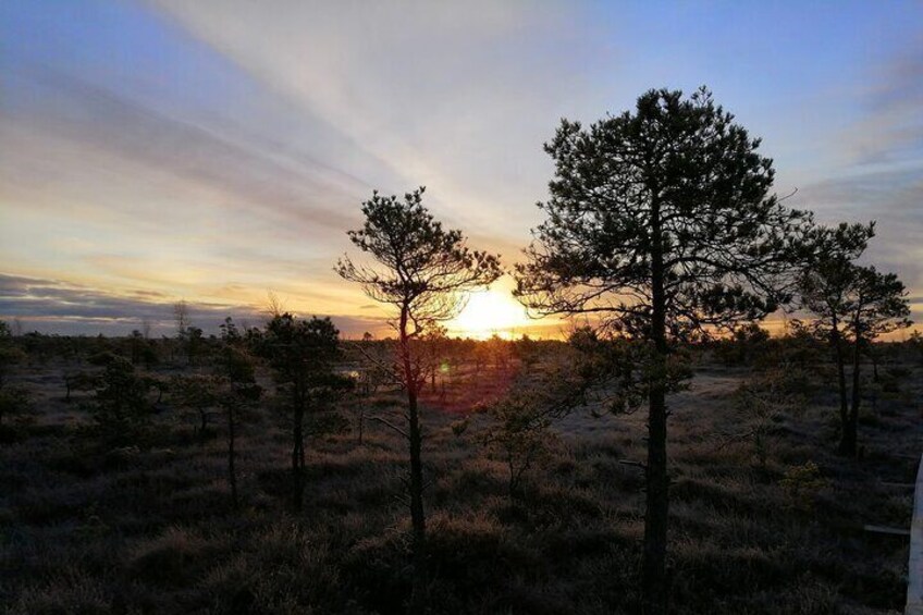 Sunset at Kemeri National Park 