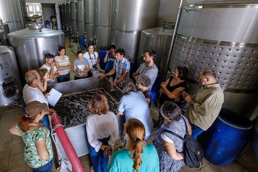 Wine Tasting - Authentic Algarve Flavours by Quinta da Tôr
