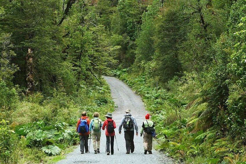 Full Day Torres del Paine Tour