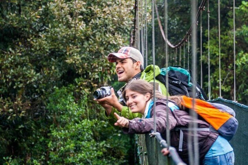 Monteverde Combo: Cable Car, Zipline, Hanging Bridges