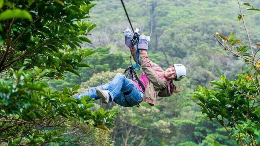 Monteverde Combo: Cable Car, Zipline, Hanging Bridges
