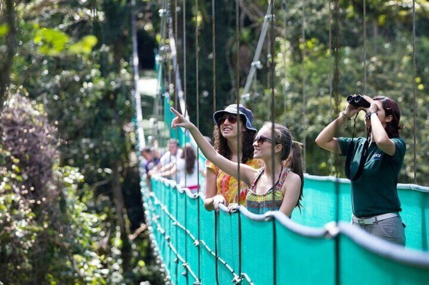 Monteverde Combo: Cable Car, Zipline, Hanging Bridges