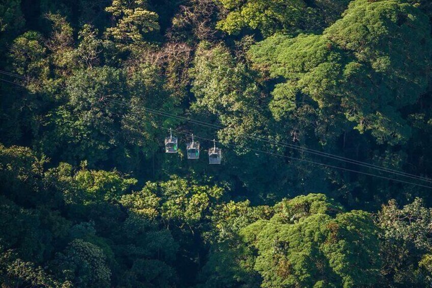 Monteverde Combo: Cable Car, Zipline, Hanging Bridges