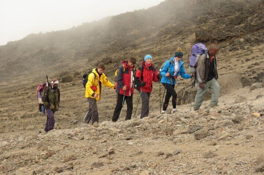 Africa Natural Tours Best Kilimanjaro Climbing 