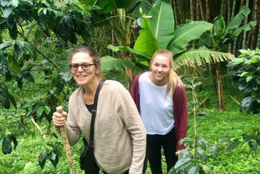 Coffee Tour Coffee, Flowers and Birds Walk