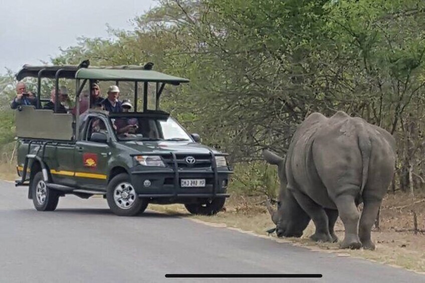 Full Day Kruger National Park Game Drive