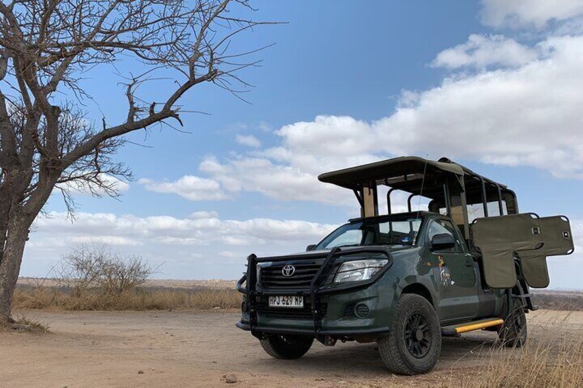 Kruger National Park Morning Game Drive