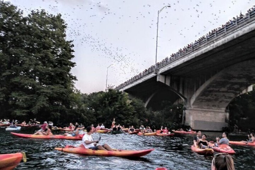 Congress Avenue Bat Bridge Kayak Tour in Austin