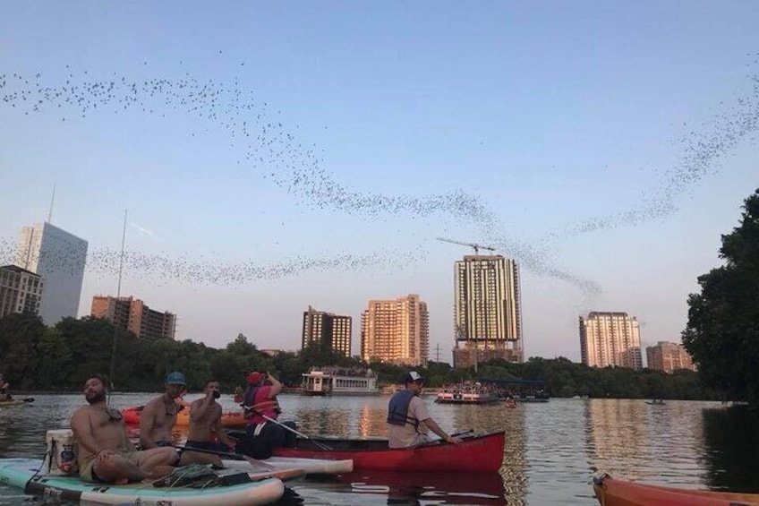 Congress Avenue Bat Bridge Kayak Tour in Austin