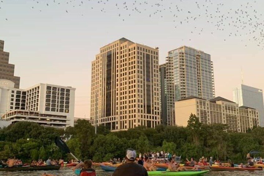 Congress Avenue Bat Bridge Kayak Tour in Austin