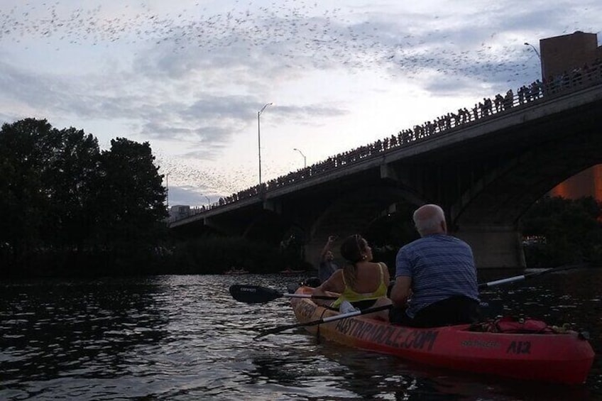 Congress Avenue Bat Bridge Kayak Tour in Austin