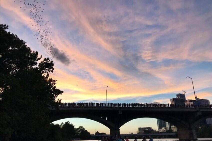 Congress Avenue Bat Bridge Kayak Tour in Austin