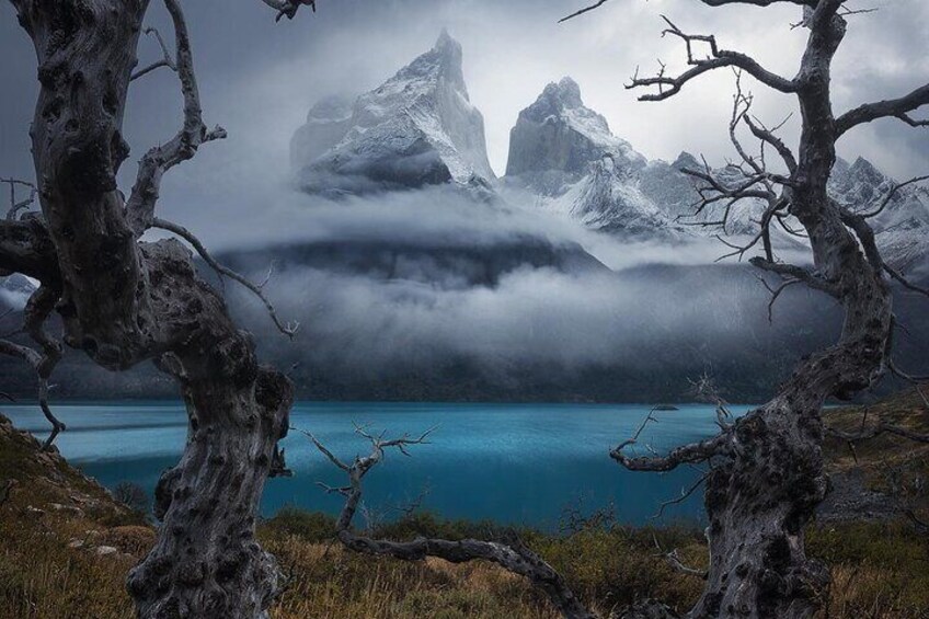 Full Day Private Tour to Torres del Paine