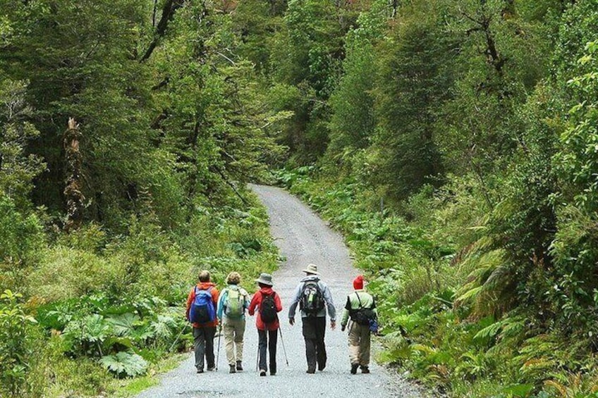 Trekking Base Torres del Paine Imperdible