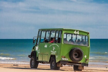 Private tour of Doñana in 4x4 and El Rocío