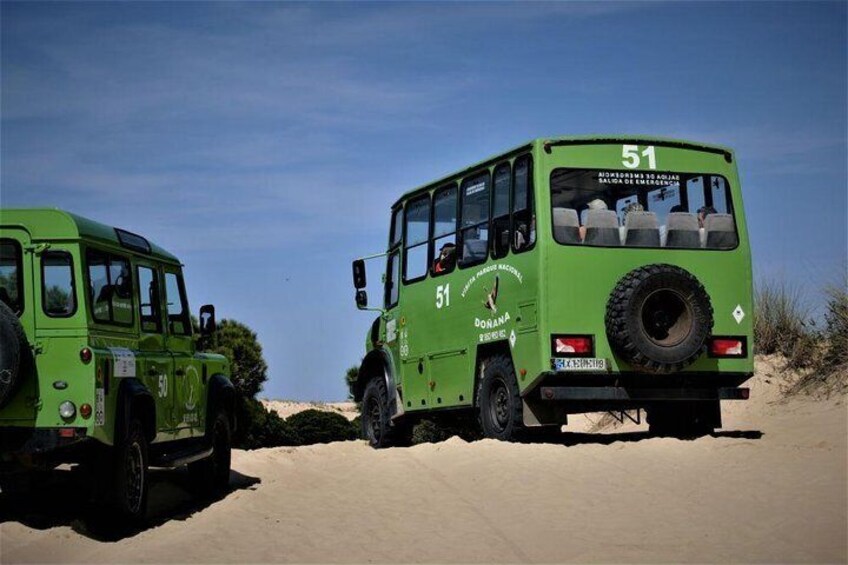 Guided tour in 4x4 of the Doñana National Park