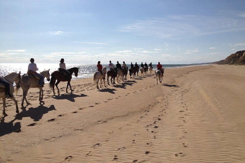 Horse riding through Doñana and visit El Rocio