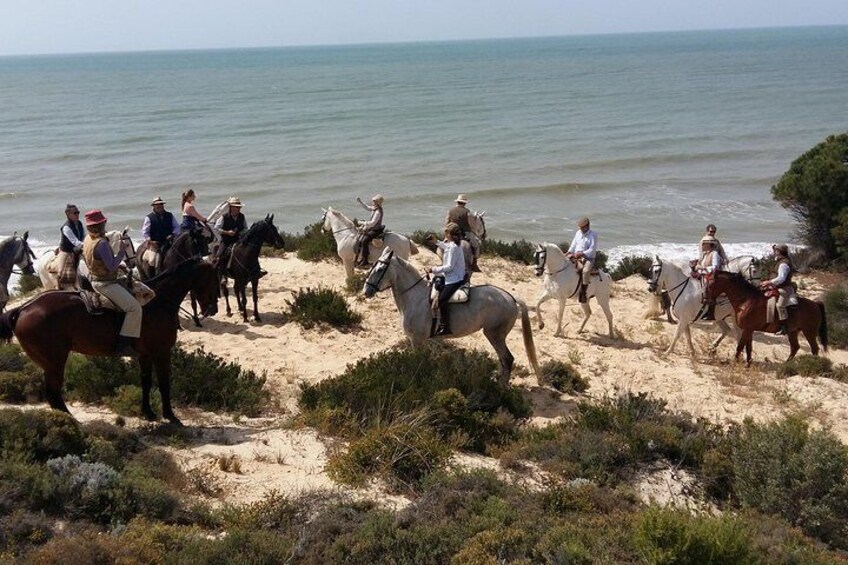 Horse riding through Doñana and visit El Rocio