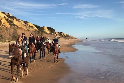 Horseback riding through Doñana and visit of El Rocio - Private tour