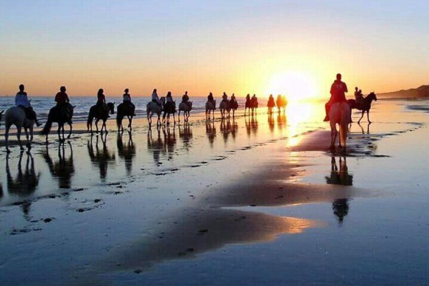 Horseback riding through Doñana and visit of El Rocio - Private tour