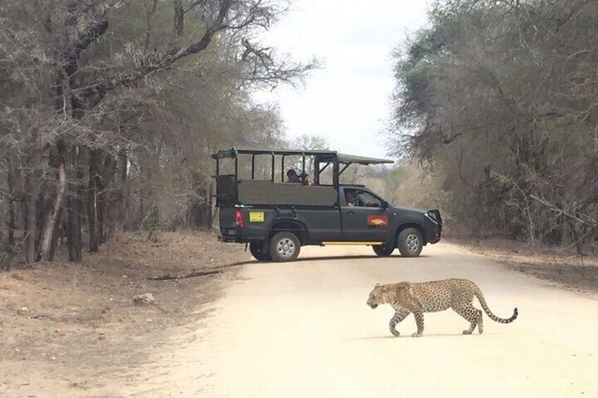 Kruger National Park Half-Day Game Drive