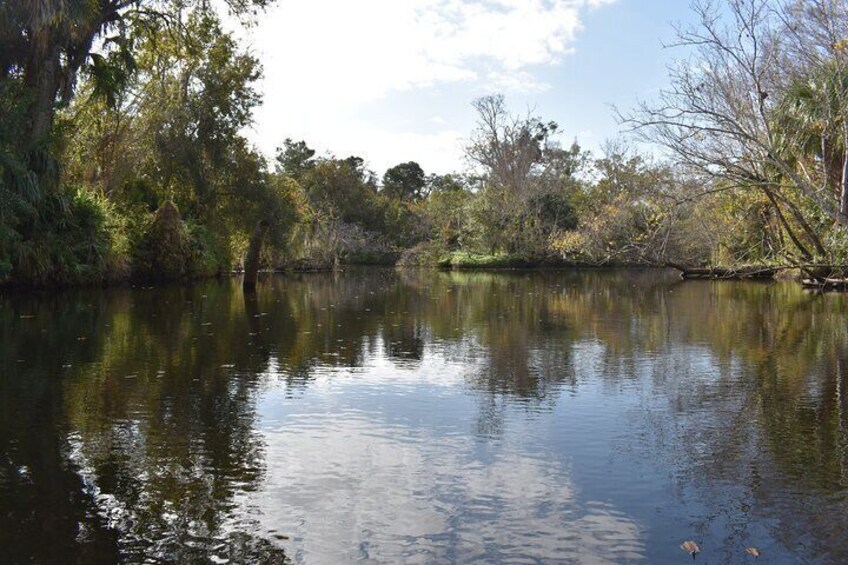 Paddling the Amazing Turkey Creek Sanctuary