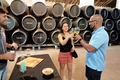Wine tourism, visit to a traditional winery and wine tasting