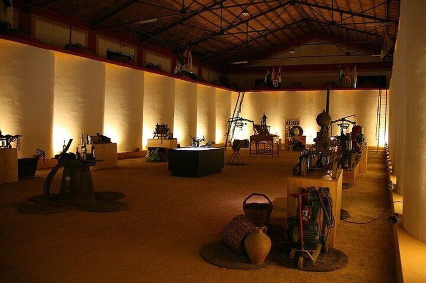 Wine tourism, visit to a traditional winery and wine tasting