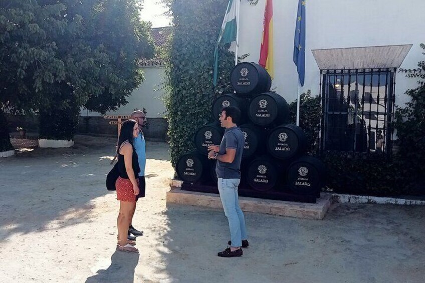Wine tourism in Seville, visit of a winery and wine tasting