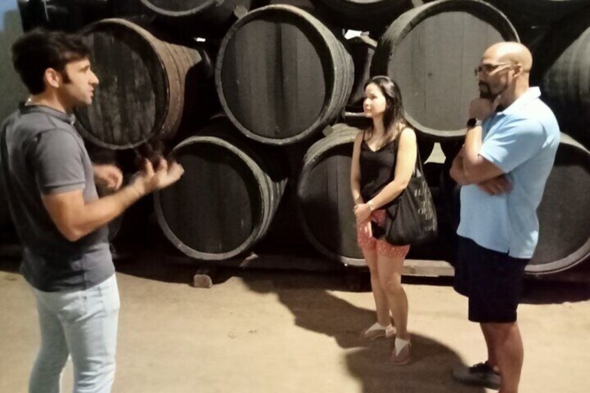 Wine tourism in Seville, visit of a winery and wine tasting