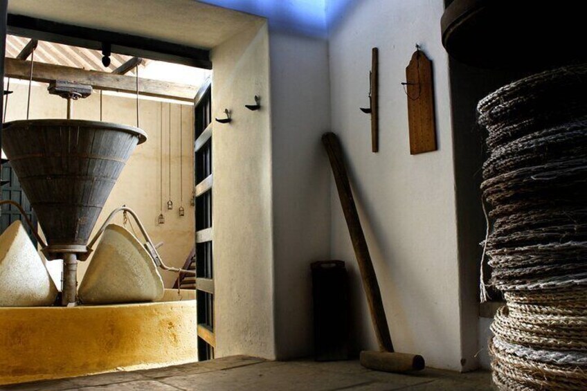 Oleotourism and olive oil tasting in Seville - Private tour