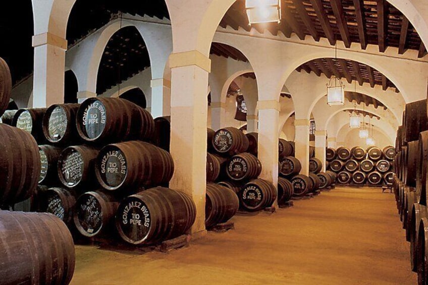 Jerez Winery Tour and wine tasting