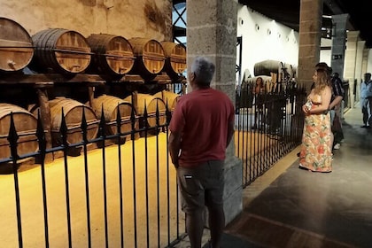 Excursion to Jerez from Seville: Visit to Wineries + wine tasting