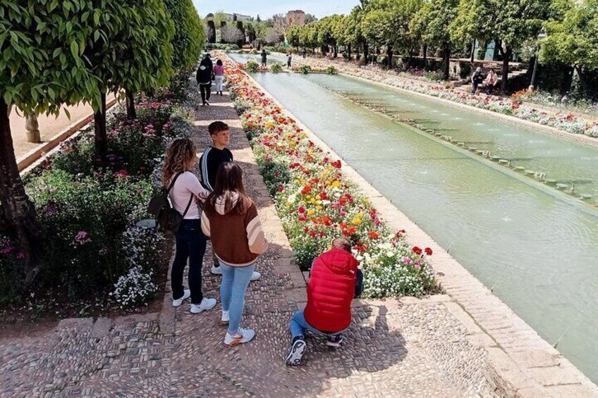 The beautiful gardens of the Alcazar