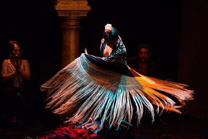 Flamenco Show "Museo de Baile Flamenco"