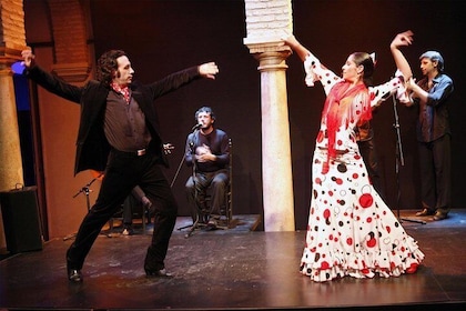 Spettacolo di flamenco "Museo della danza flamenca"