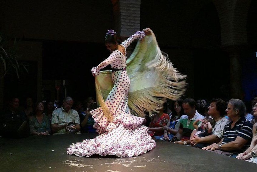 Flamenco Show