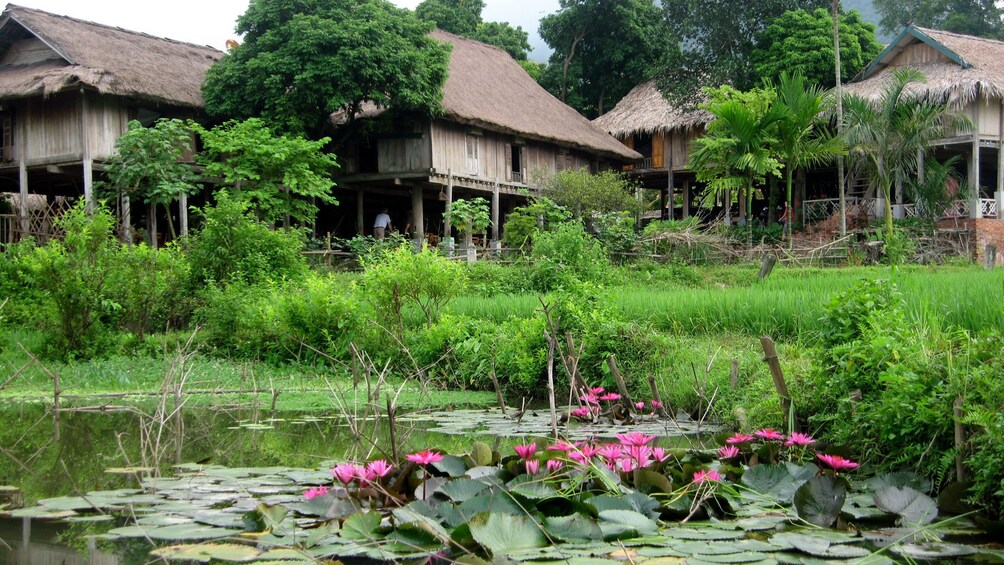 Huts and a pond in a village in Mai Chau Valley