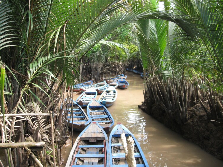 正在顯示第 5 張相片,共 9 張。 2-Day Mekong Delta & Floating Market Tour