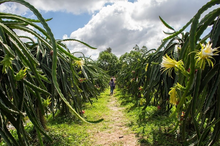 2-Day Mekong Delta Cruise with Mekong Eyes