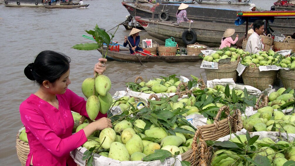 Woman selecting fruit at the floating market in the Mekong Delta