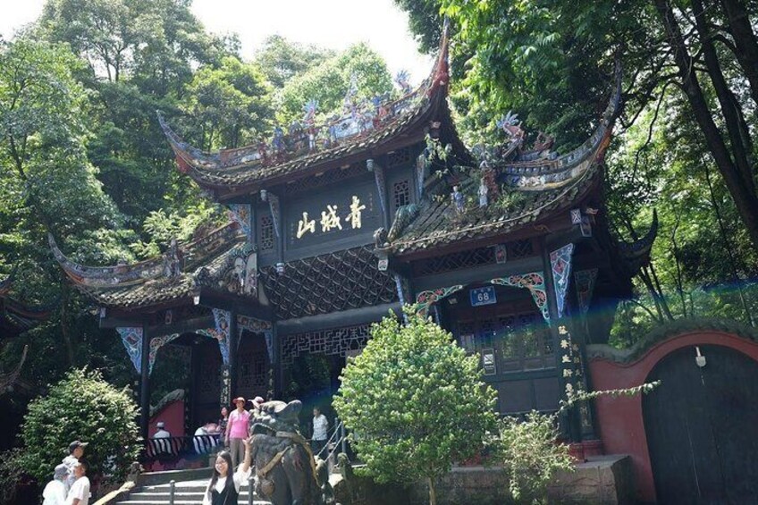 Dujiangyan Panda Base and Mt.Qingcheng one day tour 