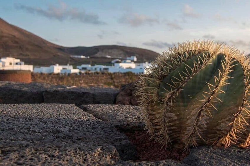 Bus Tour North Lanzarote with Lunch