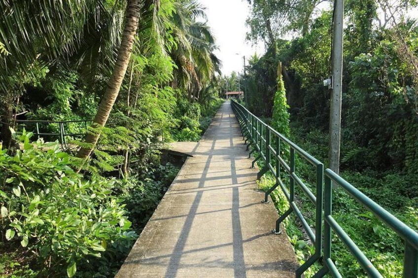 Safe paths, green jungle