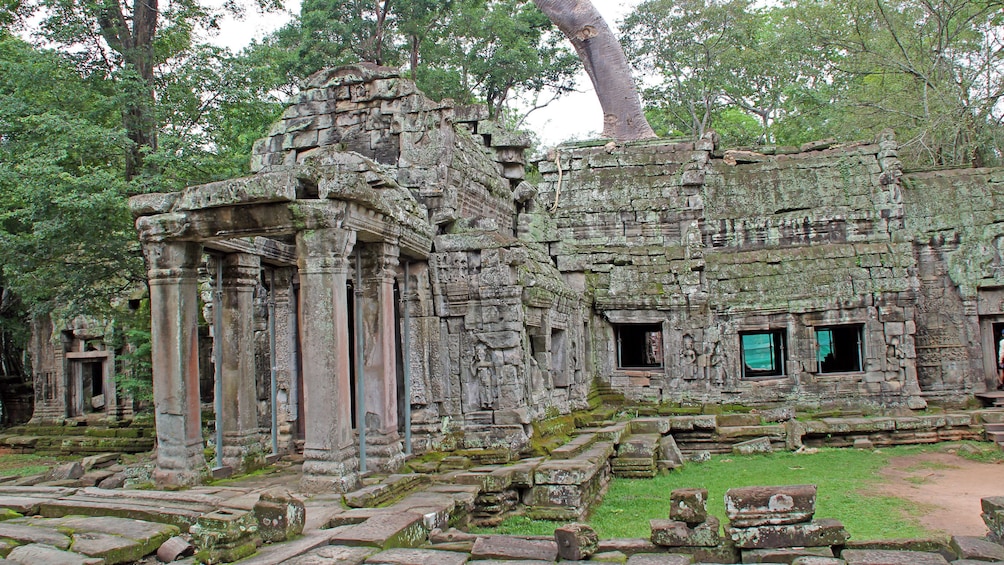 Columned ruins of an Angkor Wat temple in Siem Reap
