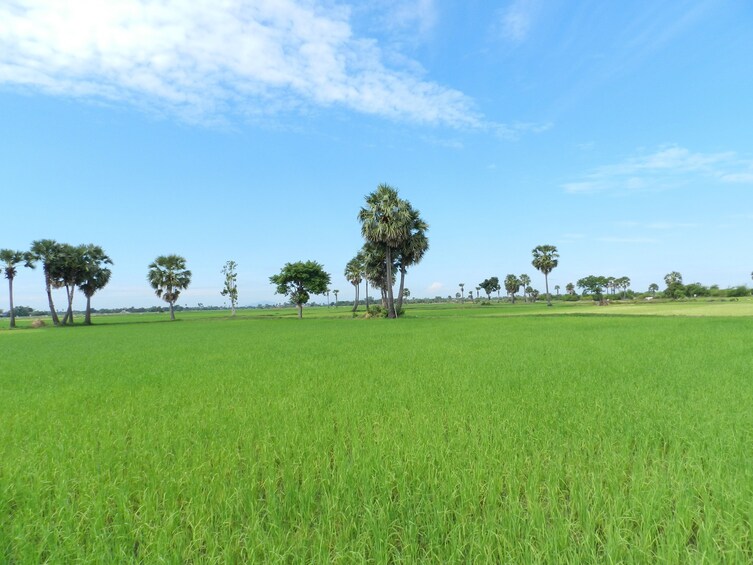 Half-Day Countryside Discovery on Quadbike