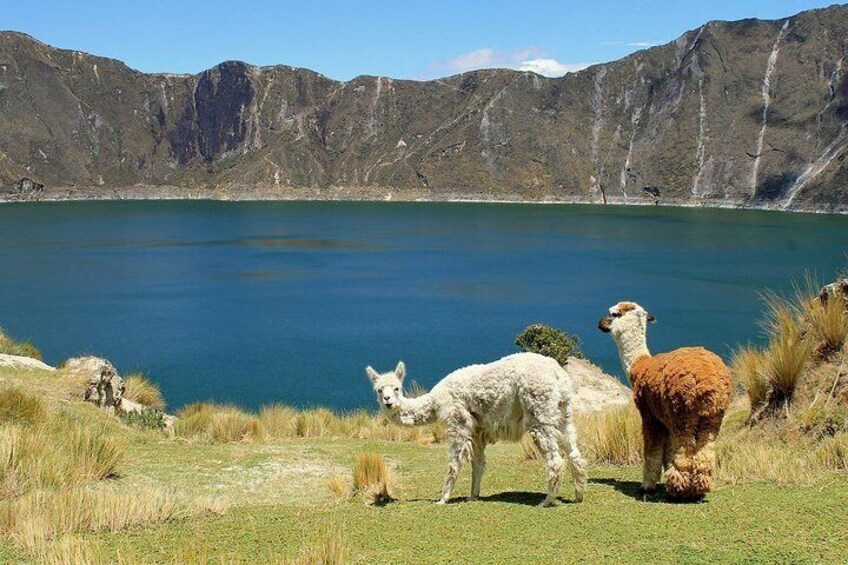 Cultural Tour Laguna Quilotoa: Hiking and Descent to the Lagoon all included