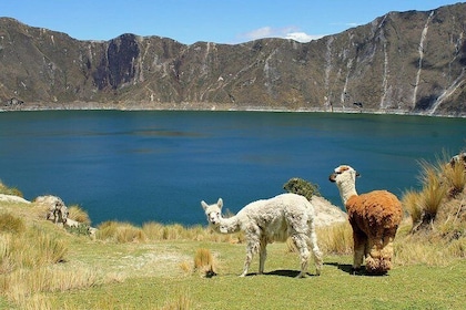 Cultural Tour Laguna Quilotoa: Hiking and Descent to the Lagoon all include...