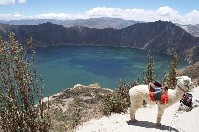 Cultural Tour Laguna Quilotoa: Hiking and Descent to the Lagoon all included