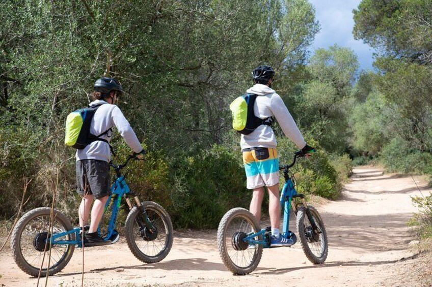 Off Road E-scooter Tour